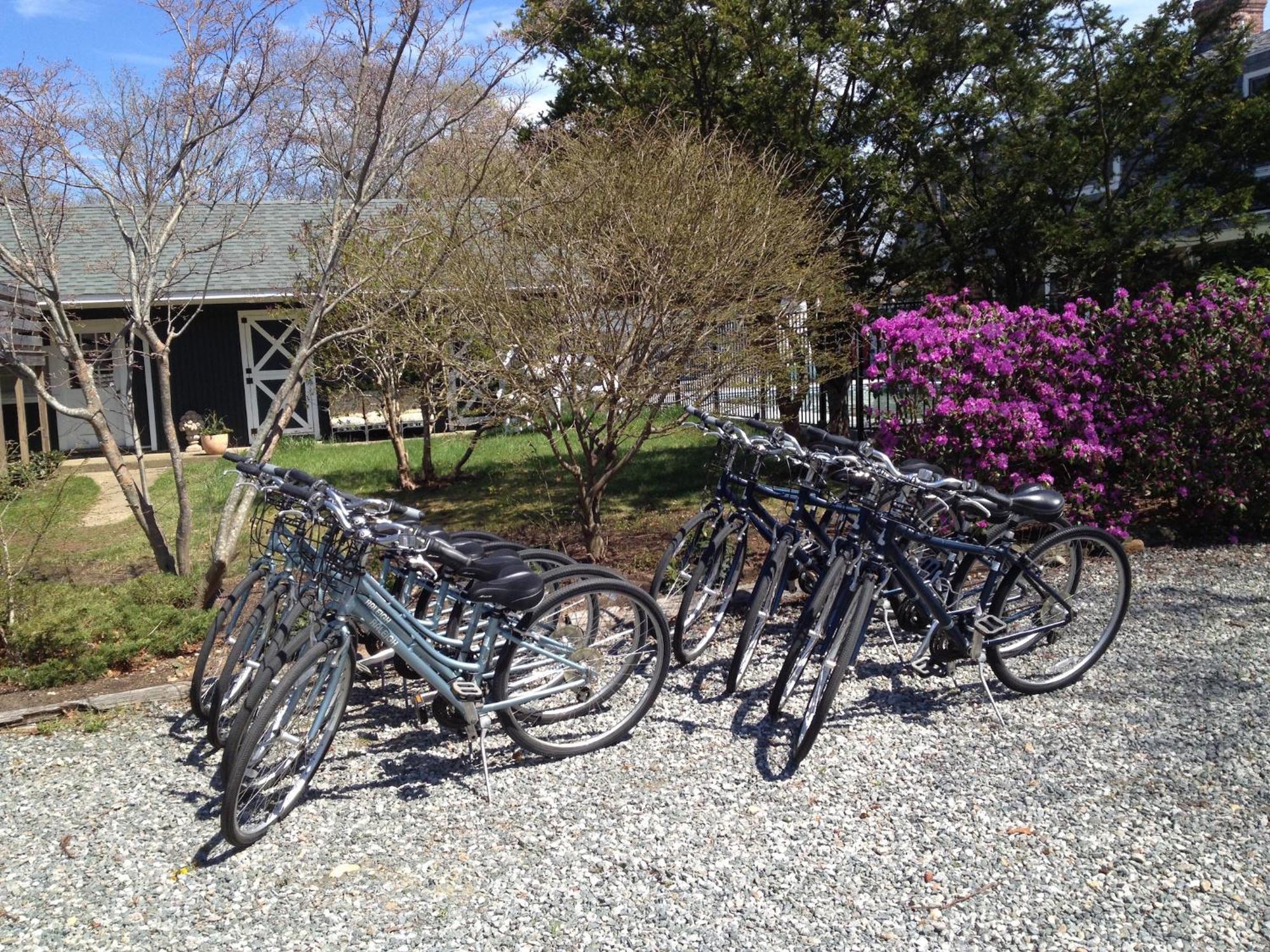 Charles And Charles Mv Bed & Breakfast Vineyard Haven Dış mekan fotoğraf