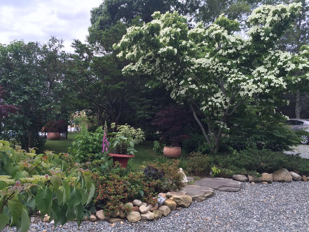 Charles And Charles Mv Bed & Breakfast Vineyard Haven Dış mekan fotoğraf